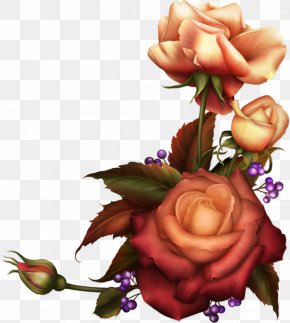 Flower Author Garden Roses Clip Art, PNG, 4087x2781px, Flower ...