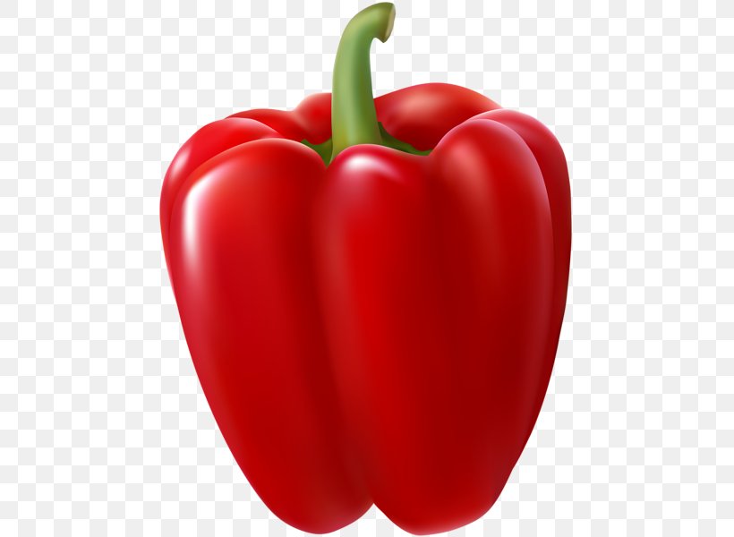 Green Bell Pepper Clip Art Chili Pepper, PNG, 469x600px, Bell Pepper, Bell Peppers And Chili Peppers, Capsicum, Chili Pepper, Flowering Plant Download Free