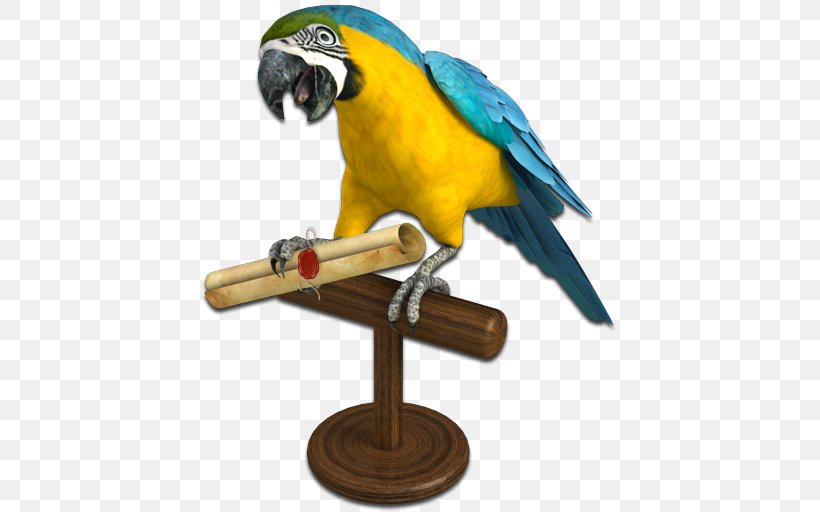 Parrot Piracy Clip Art, PNG, 512x512px, Parrot, Beak, Bird, Bird Supply, Buried Treasure Download Free