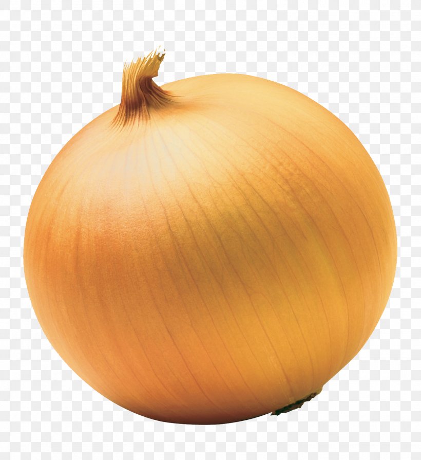 Red Onion Yellow Onion White Onion Sweet Onion, PNG, 1565x1709px, Onion, Allioideae, Calabaza, Caramelization, Commodity Download Free