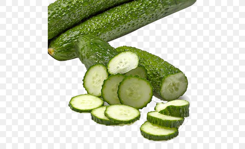 Slicing Cucumber Pickled Cucumber Organic Food Zucchini Vegetable, PNG, 500x500px, Slicing Cucumber, Auglis, Cucumber, Cucumber Gourd And Melon Family, Cucumis Download Free