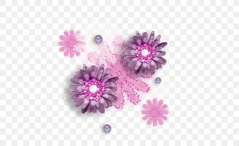 Chrysanthemum Transvaal Daisy Pink M Petal, PNG, 500x500px, Chrysanthemum, Chrysanths, Daisy Family, Flower, Flowering Plant Download Free