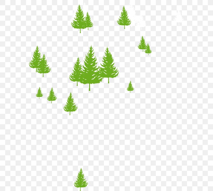 Fir Christmas Ornament Spruce Pine Christmas Tree, PNG, 597x738px, Fir, Branch, Christmas, Christmas Decoration, Christmas Ornament Download Free