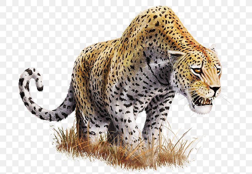 Leopard Clip Art, PNG, 730x565px, Leopard, Big Cats, Carnivoran, Cat Like Mammal, Cheetah Download Free
