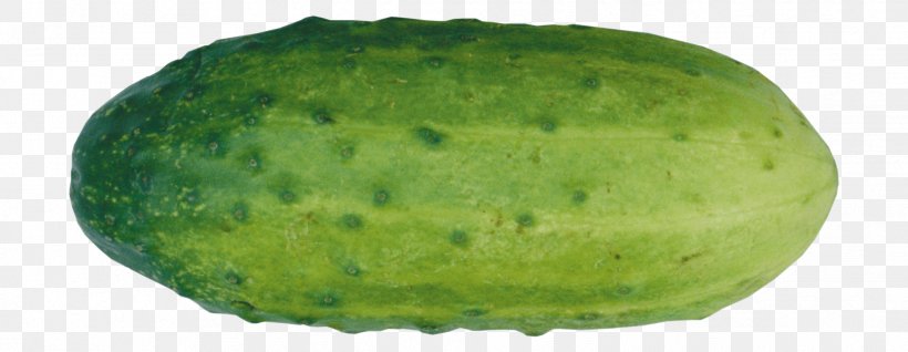 Pickled Cucumber Clip Art Image, PNG, 2443x949px, Pickled Cucumber, Cucumber, Cucumber Gourd And Melon Family, Food, Fruit Download Free