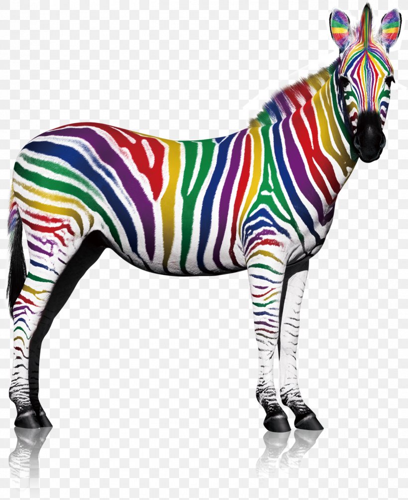Quagga Zebra Lacquer Printing, PNG, 1392x1706px, Quagga, Business, Color, Horse Like Mammal, Lacquer Download Free