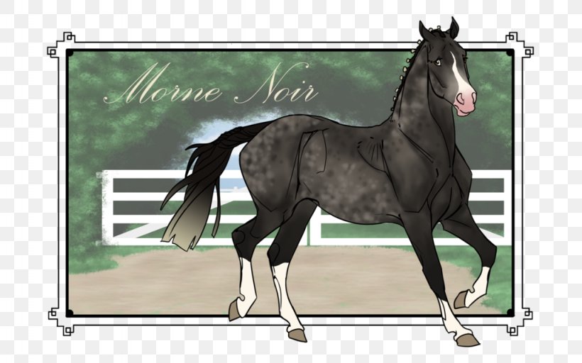 Stallion Colt Hanoverian Horse Foal Mare, PNG, 1024x640px, Stallion, Bit, Bridle, Colt, English Riding Download Free