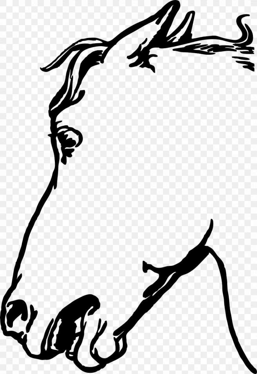 Donkey Cartoon, PNG, 881x1280px, Horse, Blackandwhite, Borders And Frames, Coloring Book, Donkey Download Free