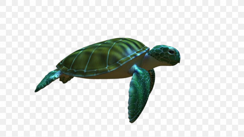 Green Sea Turtle Animation, PNG, 960x540px, Turtle, Animal, Animation, Aquatic Animal, Cartoon Download Free