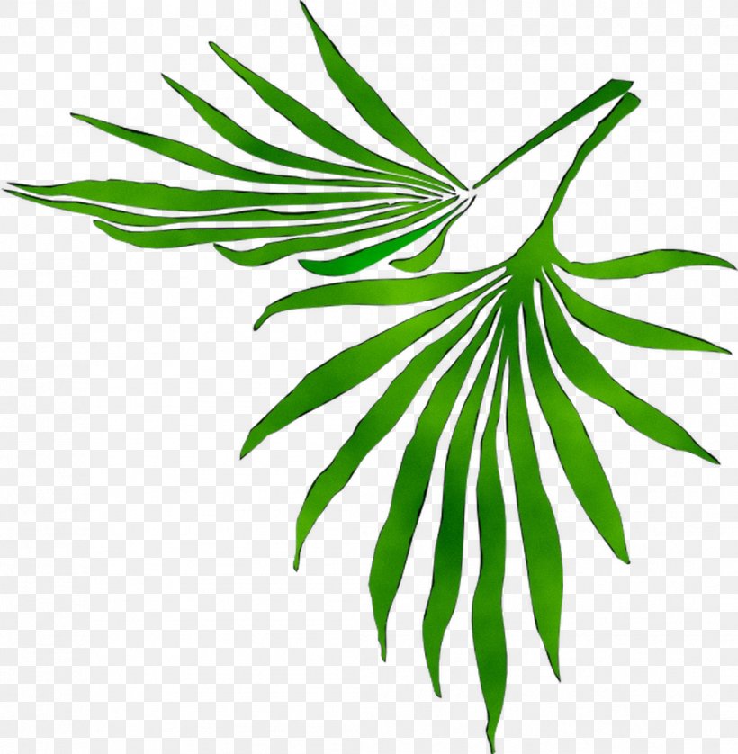 Leaf Plant Stem Flower Clip Art Palm Trees, PNG, 1044x1068px, Leaf ...