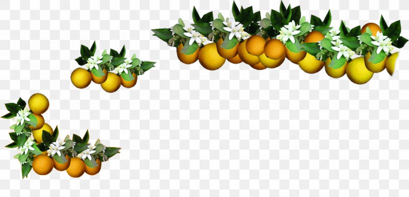 Orange Food Rangpur, PNG, 988x477px, Orange, Animaatio, Citrus, Commodity, Cut Flowers Download Free