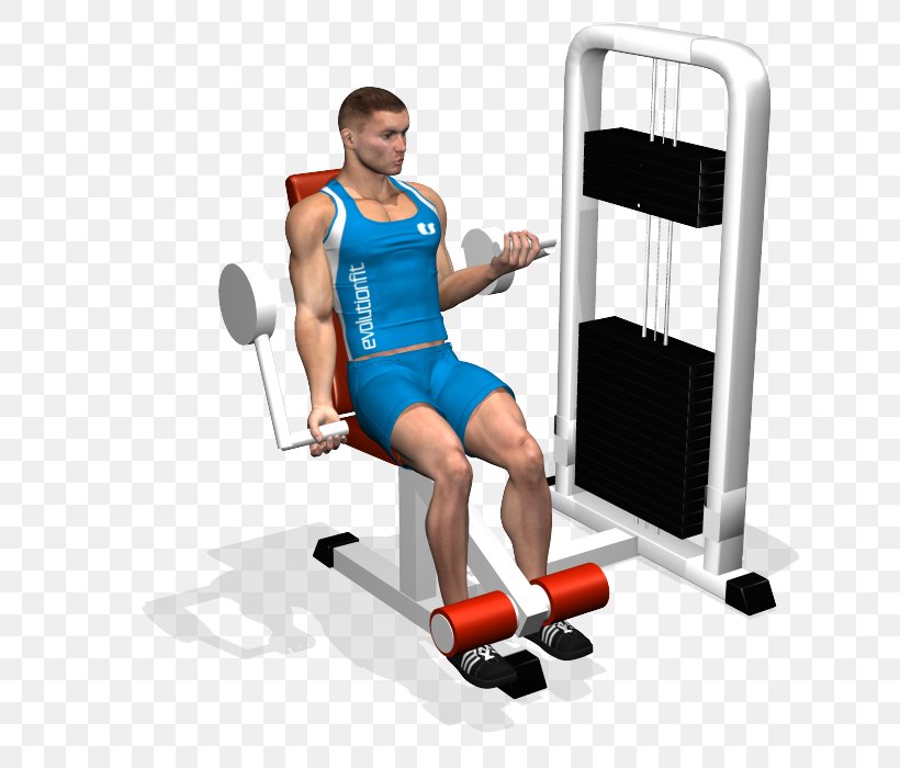 Weight Training Biceps Curl Exercise Machine, PNG, 700x700px, Watercolor, Cartoon, Flower, Frame, Heart Download Free