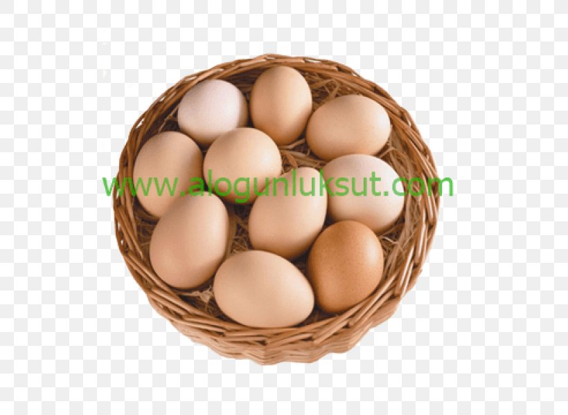 Chicken Egg Brahma Chicken Food Service, PNG, 600x600px, Egg, Agriculture, Brahma Chicken, Business, Chicken Download Free