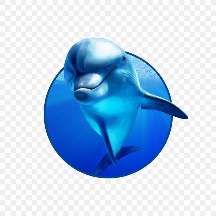 Tolyatti Penza Cheboksary Dolphinarium, PNG, 2400x2400px, Tolyatti, Advertising, Beluga Whale, Blue, Cheboksary Download Free