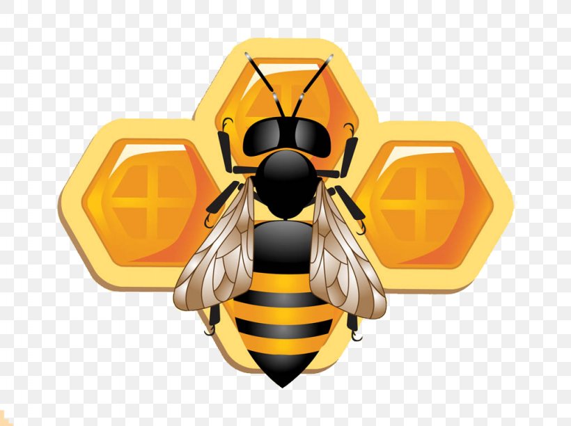 Honey Bee Beehive Beekeeping Queen Bee, PNG, 1024x765px, Bee, Arthropod, Beehive, Beekeeping, Heath Beekeeping Download Free