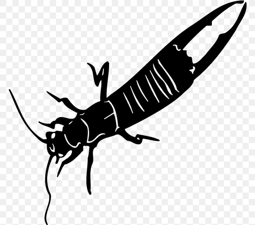 Insect Pollinator White Clip Art, PNG, 768x724px, Insect, Arthropod, Black And White, Fauna, Fly Download Free