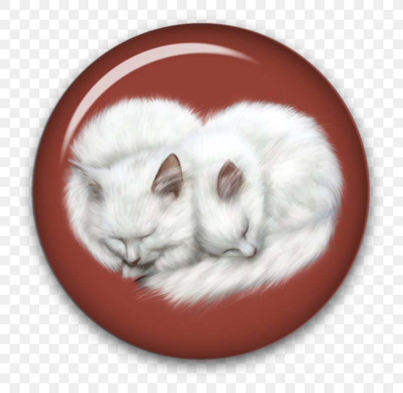 Kitten Cat Whiskers, PNG, 800x800px, Kitten, Carnivoran, Cartoon, Cat, Cat Like Mammal Download Free