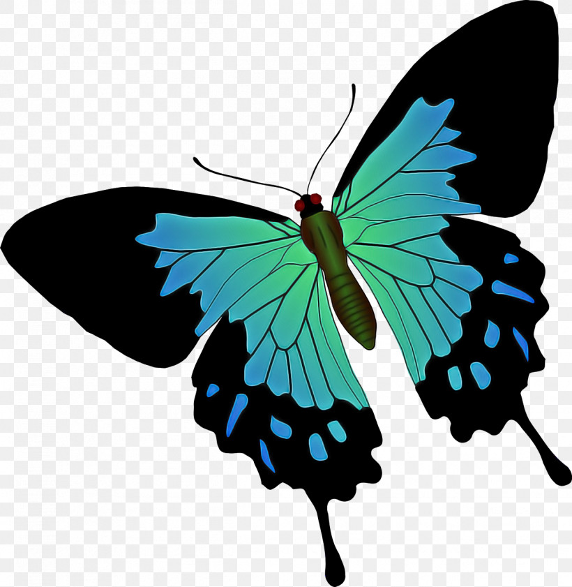 Monarch Butterfly, PNG, 1248x1280px, Butterflies, Birdwing, Brushfooted Butterflies, Caterpillar, Common Blue Download Free