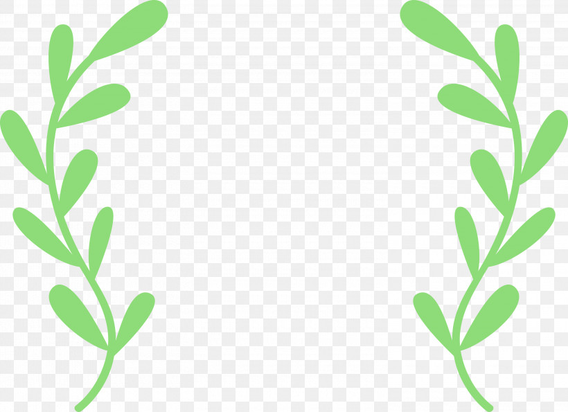 Plant Stem Branch Leaf Grasses Green, PNG, 3000x2177px, Watercolor, Biology, Branch, Grasses, Green Download Free