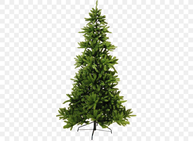 Christmas Tree, PNG, 600x600px, Balsam Fir, Canadian Fir, Christmas Tree, Colorado Spruce, Lodgepole Pine Download Free