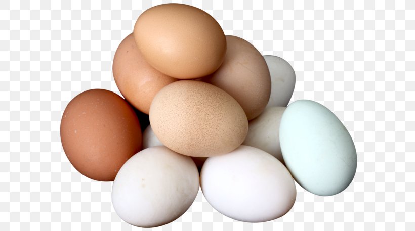 Egg Salad Deviled Egg Boiled Egg, PNG, 600x457px, Egg Salad, Boiled Egg, Deviled Egg, Egg, Egg White Download Free