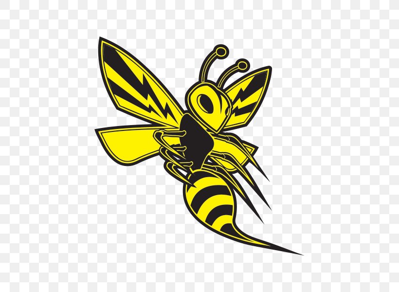 Hornet Bee Decal Wasp Sticker, PNG, 600x600px, Hornet, Africanized Bee, Artwork, Bee, Bee Sting Download Free