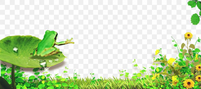 Poster Download, PNG, 1200x531px, Poster, Ecosystem, Flora, Grass, Grass Family Download Free