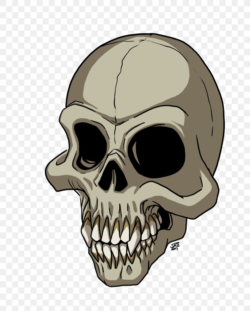 Skull, PNG, 786x1017px, Skull, Bone, Jaw Download Free