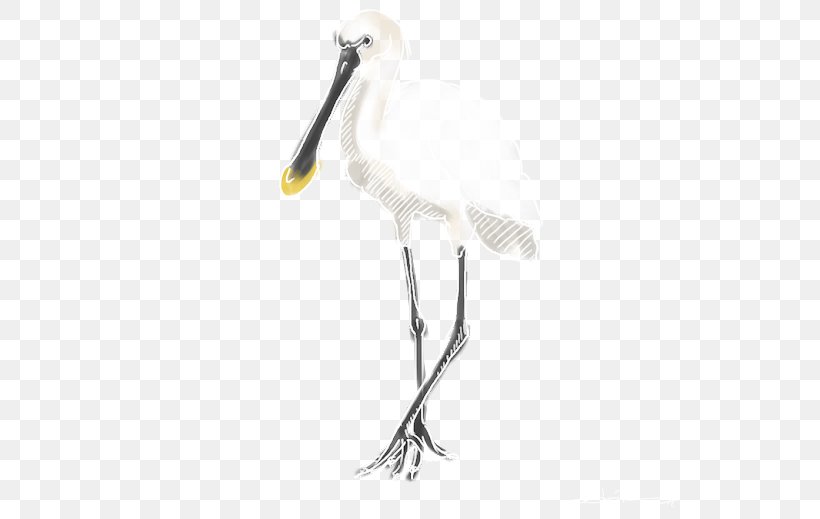 Stork Spoonbills Bird Eurasian Spoonbill Beak, PNG, 640x519px, Stork, Beak, Bird, Ciconiiformes, Crane Like Bird Download Free