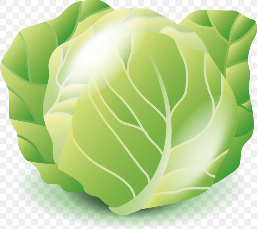 Cabbage Vegetable, PNG, 934x833px, Cabbage, Brassica Oleracea, Cartoon, Green, Leaf Download Free