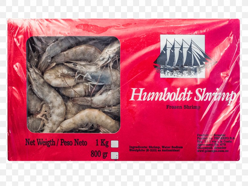 Caridea Whiteleg Shrimp Giant Tiger Prawn Seafood, PNG, 1024x768px, Caridea, Brand, Ecuador, Fish, Food Download Free