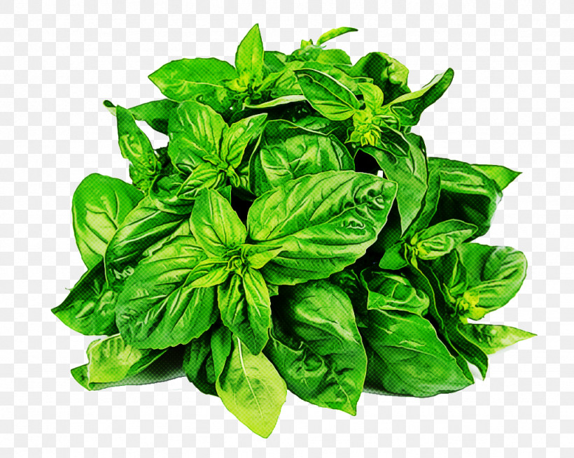 Leaf Basil Plant Food Herb, PNG, 1024x819px, Leaf, Basil, Flower, Food, Herb Download Free