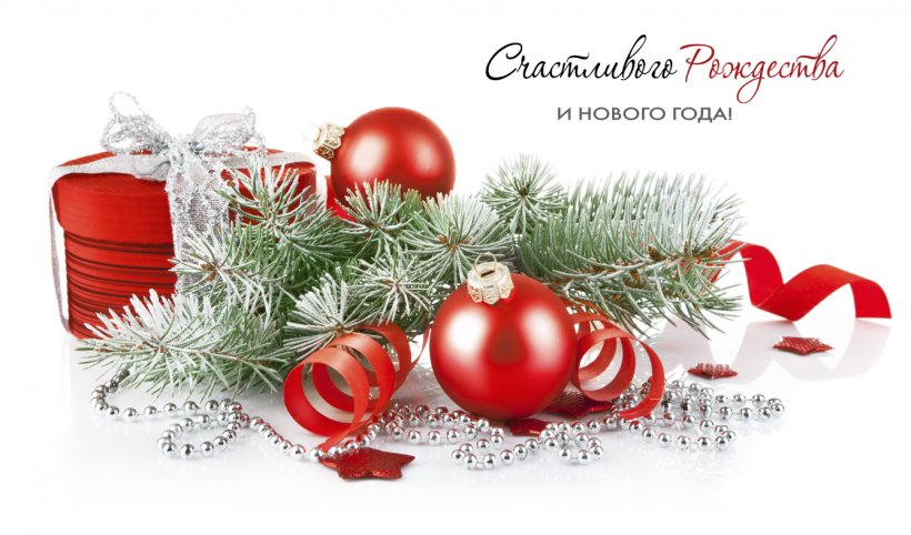 Christmas Card Wish New Year's Day, PNG, 1338x788px, Christmas, Christmas And Holiday Season, Christmas Card, Christmas Decoration, Christmas Ornament Download Free