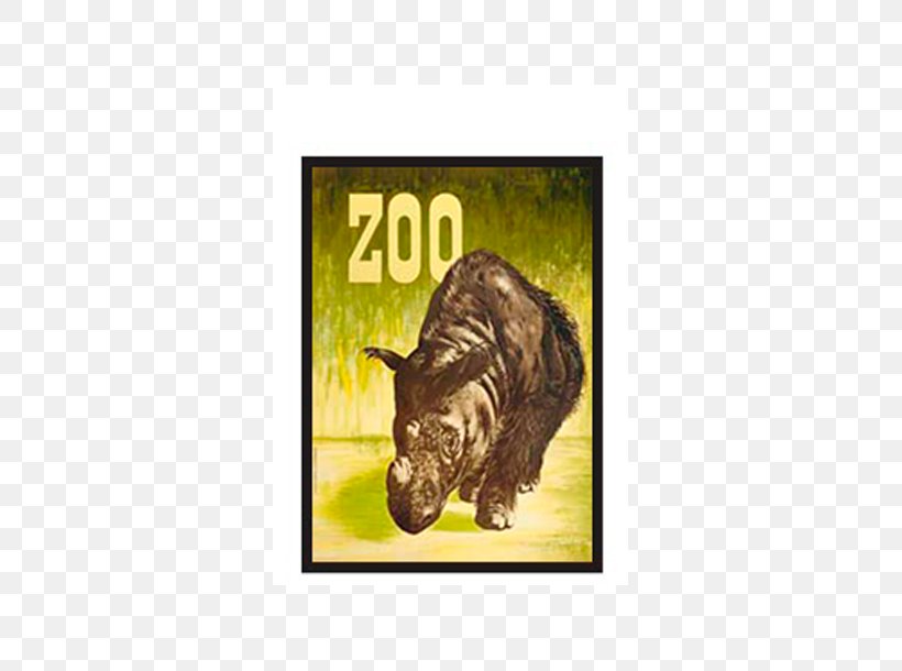 Copenhagen Zoo Hippopotamus Rhinoceros Elephantidae, PNG, 610x610px, Copenhagen Zoo, Animal, Brand, Carnivoran, Copenhagen Download Free