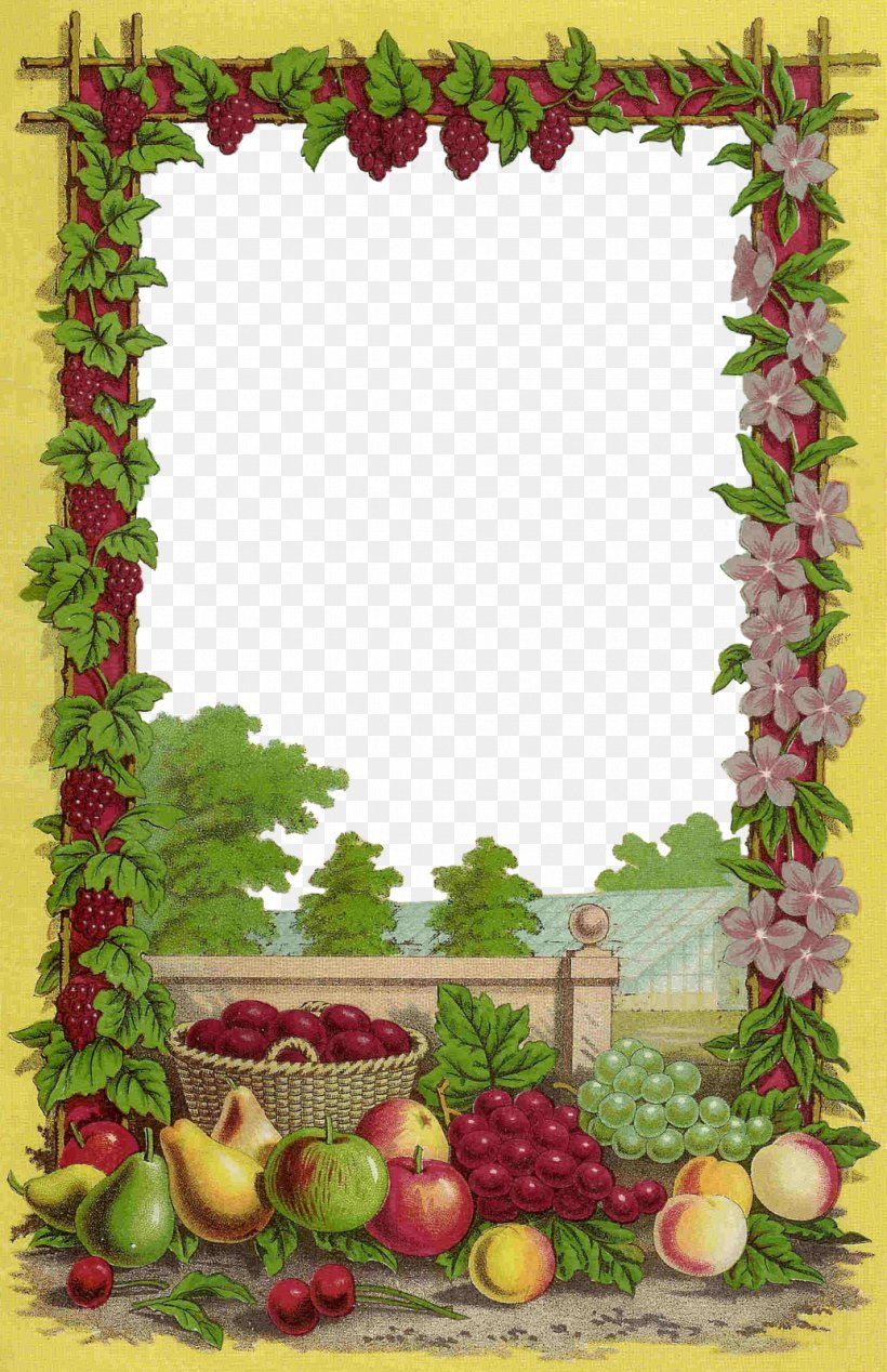Fruit Picture Frames Seed Clip Art, PNG, 1034x1600px, Fruit, Antique, Blackberry, Drawing, Floral Design Download Free