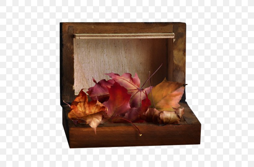 Still Life Photography Autumn Picture Frames Blog, PNG, 600x540px, Still Life Photography, Autumn, Blog, Flower, Hollyhock Download Free