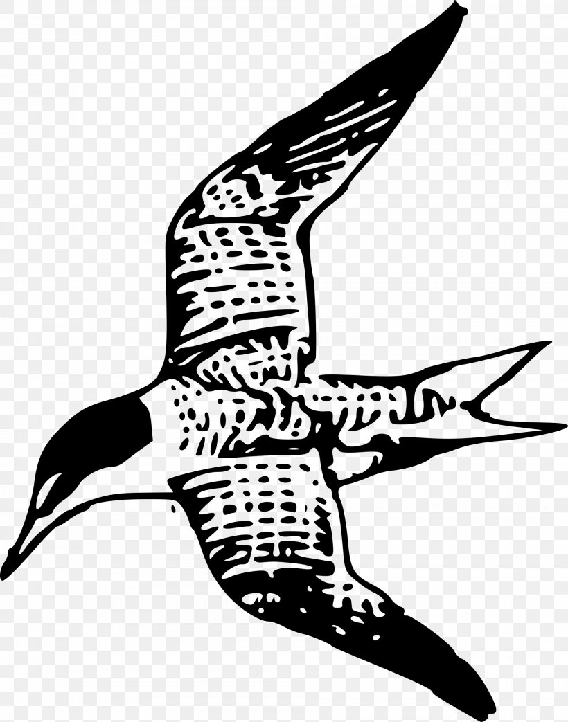 Art Clip Art, PNG, 1886x2400px, Art, Artwork, Beak, Bird, Black And White Download Free