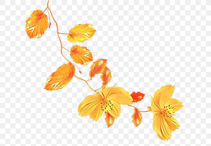 Orange, PNG, 650x568px, Flower, Cut Flowers, Leaf, Orange, Petal Download Free