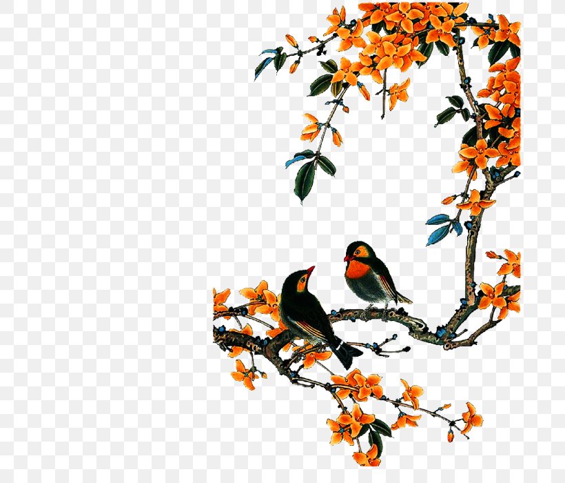 Bird-and-flower Painting Chinese Painting China Central Academy Of Fine Arts, PNG, 700x700px, Bird, Art, Beak, Birdandflower Painting, Branch Download Free