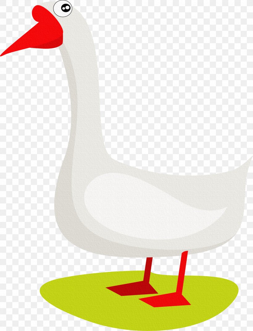 Domestic Goose Duck Clip Art, PNG, 1767x2316px, Goose, Animal, Beak, Bird, Cartoon Download Free