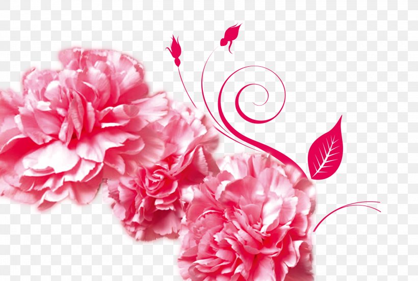 Mothers Day Gratitude Advertising Carnation, PNG, 3050x2050px, Mothers Day, Advertising, Banner, Blossom, Carnation Download Free