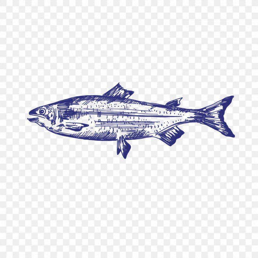 Airplane - Porpoise Airplane Sardine Shark Aerospace Engineering PNG