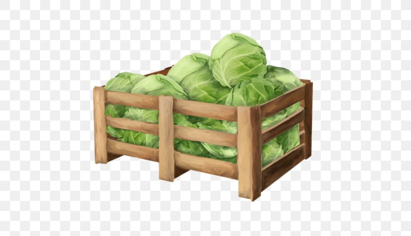 Download Vegetable Cabbage, PNG, 600x470px, Vegetable, Box, Cabbage, Cartoon, Furniture Download Free