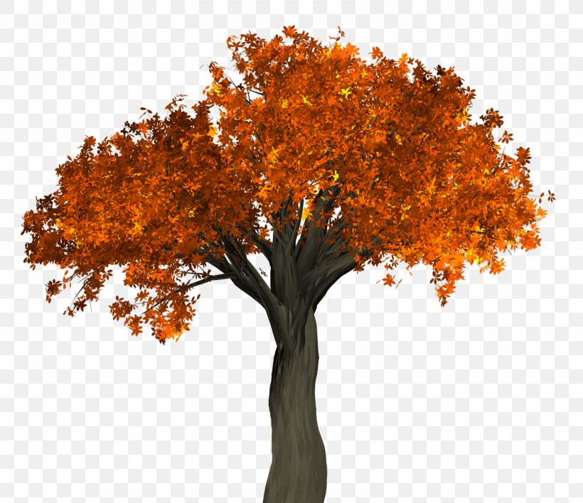 Tree, PNG, 1600x1382px, Tree, Autumn, Autumn Leaf Color, Branch, Computer Graphics Download Free