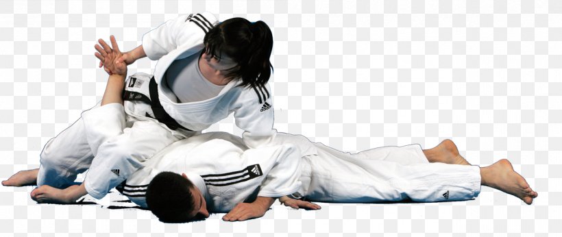 Jujutsu Judo Martial Arts Self-defense Video, PNG, 1262x533px, 2016, Jujutsu, Animaatio, Arm, Joint Download Free