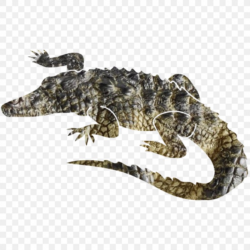 Nile Crocodile Alligator 30 November, PNG, 1024x1024px, 30 November, Nile Crocodile, Alligator, Crocodile, Crocodilia Download Free
