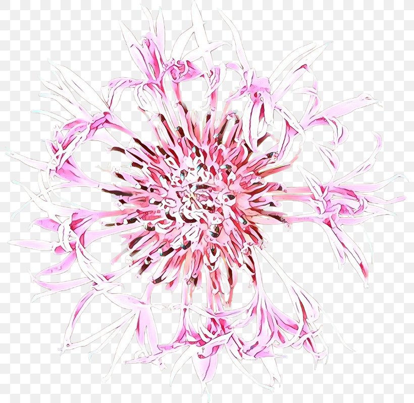 Pink Flower Plant Petal Flowering Plant, PNG, 800x798px, Cartoon, Flower, Flowering Plant, Petal, Pink Download Free
