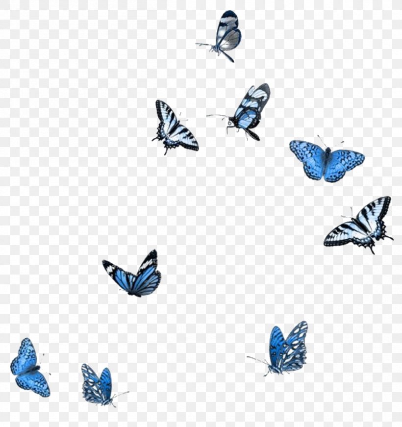 Butterfly Cartoon, PNG, 1204x1280px, Butterfly, Adobe Photoshop Elements, Animal Figure, Apatura, Blue Download Free