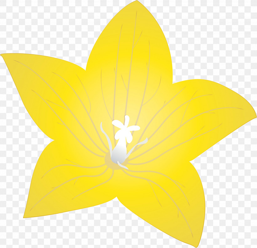 Flower Petal Yellow Flora Symmetry, PNG, 3000x2892px, Balloon Flower, Biology, Flora, Flower, Geometry Download Free