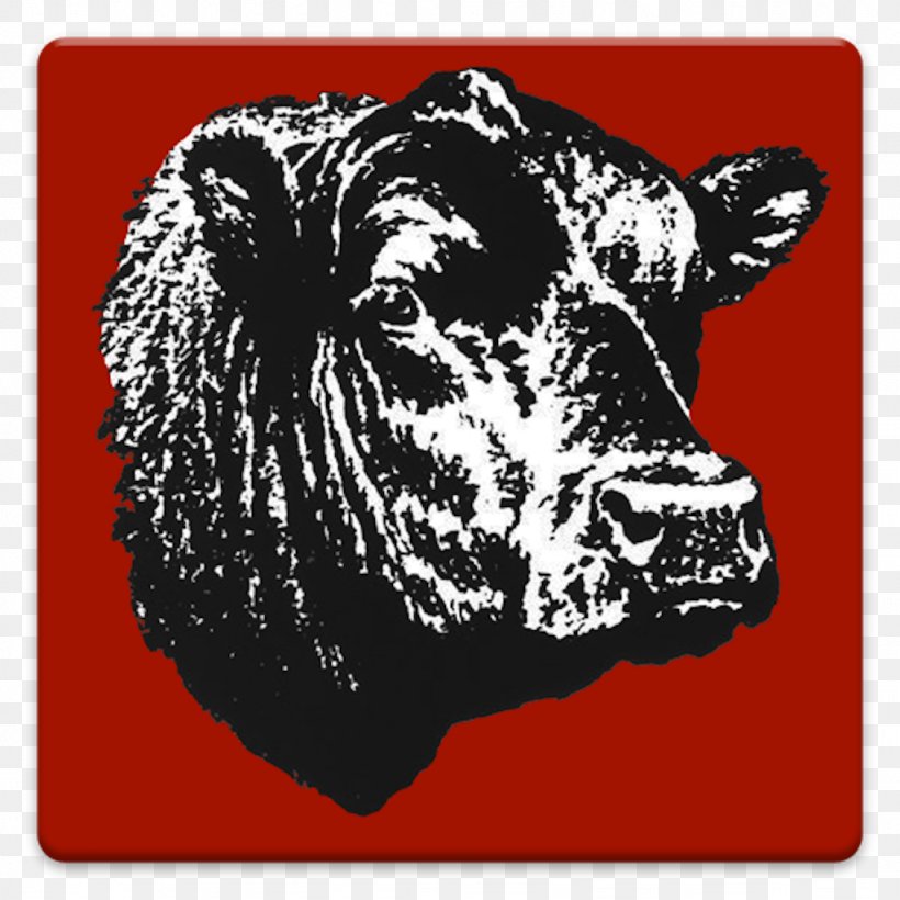 Angus Cattle Beef Cattle Bull Calf American Angus Association, PNG, 1024x1024px, Angus Cattle, American Angus Association, App Store, Beef Cattle, Black Download Free